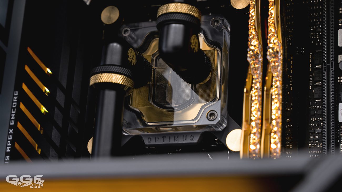 GGF Gold Spectre 4 (10)